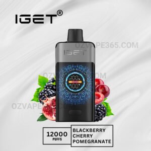 Iget One 12000 Puffs Blackberry Cherry Pomegranate
