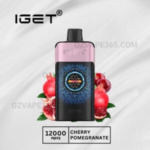 Iget One 12000 Puffs Cherry Pomegranate