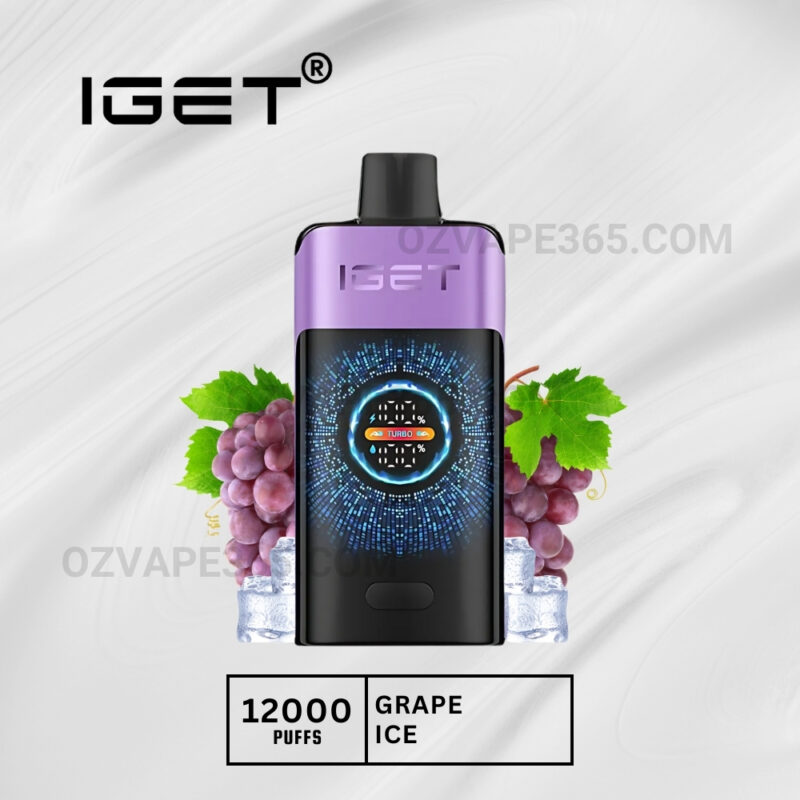 Iget One 12000 Puffs Grape Ice