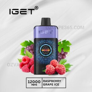 Iget One 12000 Puffs Raspberry Grape Ice