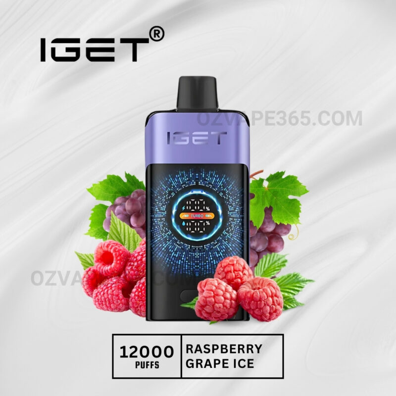 Iget One 12000 Puffs Raspberry Grape Ice