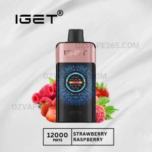 Iget One 12000 Puffs Strawberry Raspberry