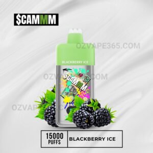 $CAMM AS 15000 Puffs Blackberry Ice