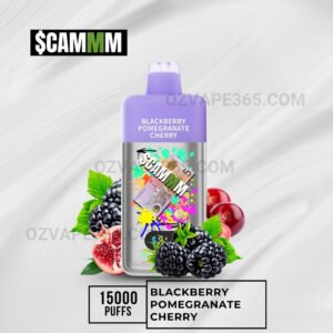 $CAMM AS 15000 Puffs Blackberry Pomegranate Cherry