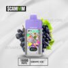 $CAMM AS 15000 Puffs Grape Ice