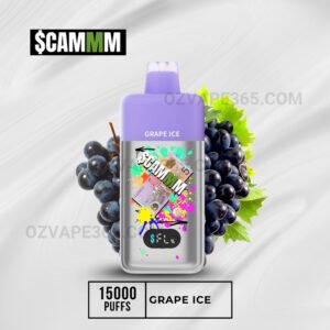 $CAMM AS 15000 Puffs Grape Ice