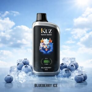KUZ Nova 16000 Puffs Blueberry Ice